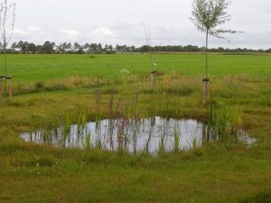 Boerderijtuin