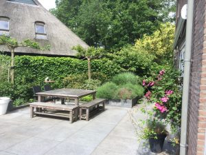 Welness tuin